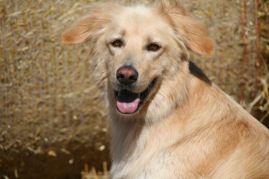 Halllooooo, ik ben Cima!