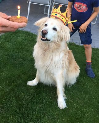 Happy birthday Cima!! 14 jaar reeds!!