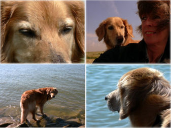 Danja en Jacobine genieten duidelijk van elkaar!