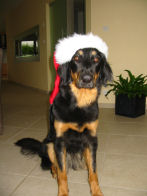 Kerstwensen van Djerba (Bagginnsa).