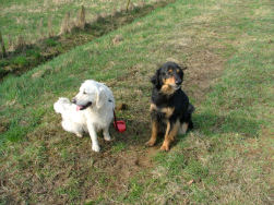 Ischa en Jadzea samen op de wandel.