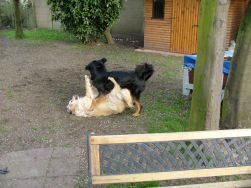 Ischa op bezoek bij Jadzea...spelen maar!