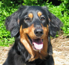 Is Janou niet mooi?!