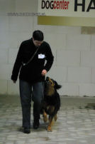 Janou, ��n en al aandacht!