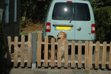 Janou en Astrix, klaar om naar Callantsoog  te vertrekken.