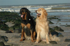 Janou en Astrix vinden het heeeerlijk!