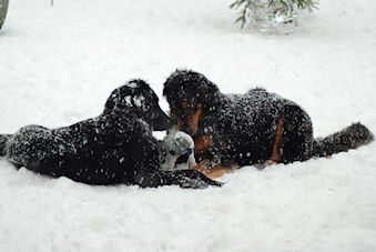 Janou en Nica delen echt alles...