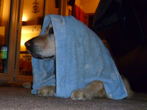 Kellar houdt het droog!