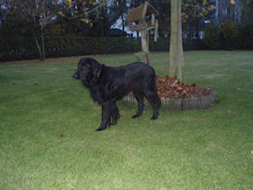 Kody heeft het vanaf nu opperbest bij Marleen.