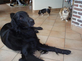 Is Kody geen schat??!!
