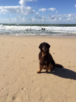Papa Lando op vakantie in Sylt 25/09/2015.