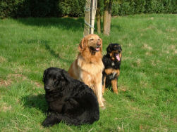 Axel en Dunja op bezoek bij Lara - de drie...