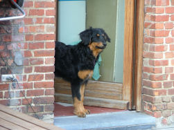 Zijn die twee wilde weg???