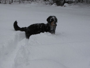 Luka vindt de sneeuw tooooff!