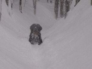 Luka wacht op jou om te spelen!