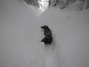 Je kan Luka volgen, zij kent de weg!