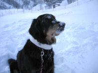 La Luna et La Neige.
