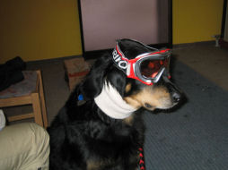 Nu mag ik toch mee gaan skin??!!