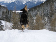 Let it snow...Let it snow...Let it snow...