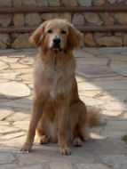 Santos kan ook poseren...