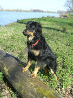 Asscha: Wat is er daar nu weeral aan de hand???