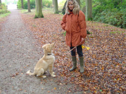 Wandelen met mijn baasje in de herfst.