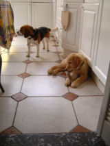 Samen thuis in de keuken