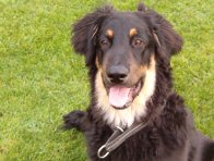 Asscha kijkt na vijf maand nog steeds in de lens!