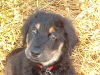 Asscha heeft aandacht voor de camera.