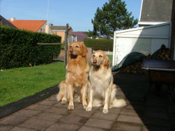 Axel op bezoek bij halfzus Zanna.