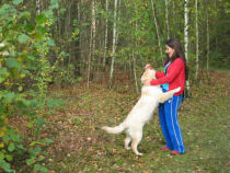 De schone en het beest...