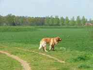 Genieten van het uitzicht.