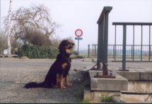 Vertrek naast de brug over de Nete.