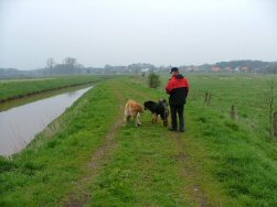 Je moet toch ergens je behoefte doen!