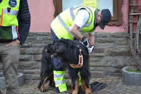 Terug in het gareel...