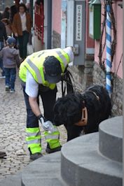 Even goed de geur opsnuiven...