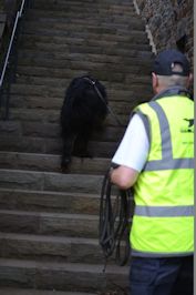 Hier de trappen naar boven...