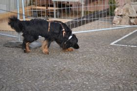 Probeer mij te volgen baas!!