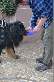 Gevonden = beloning!!!