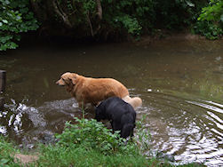 Als Axel water ziet...