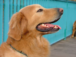 Axel, van zijn mooiste kant?