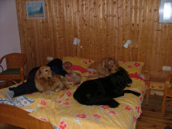 Even rusten met het baasje.