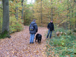 Even lekker wandelen.