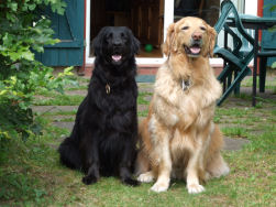 Dunja en Axel zetten zich klaar...