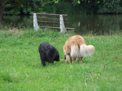 Eerst ons zwembroek aandoen...