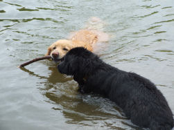 Dunja, liever lui dan moe!