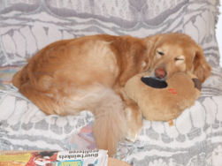 Axel, de slaap der onschuldigen?