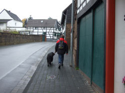 Het is weer gedaan die mooie vakantie!!