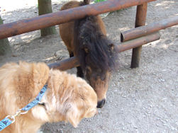 Axel roddelt met de lokale bevolking...