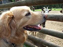 Die geit die kende mij nog!